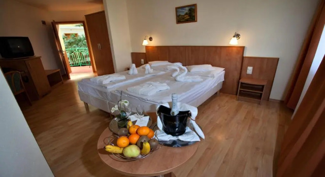 Двухместный номер Standard Aqua Therm Villa - Hotel Zalakaros