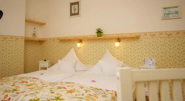 Номер Deluxe Boutique-Hotel Jungenwald