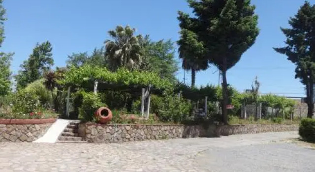 Hostal y Cabañas Los Viñedos, Book Hotel Hotels in Curico with a Pool, Swimming Pool