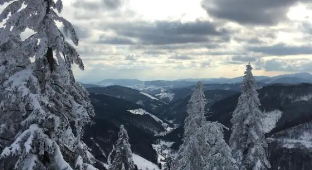 Schwarzwaldglück