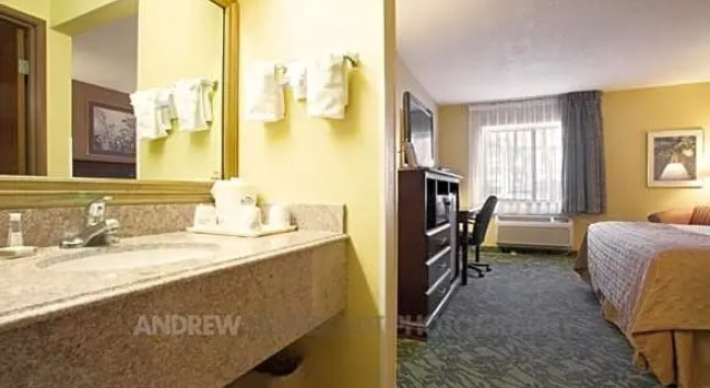 Апартаменты Baymont by Wyndham Battle Creek/I-94