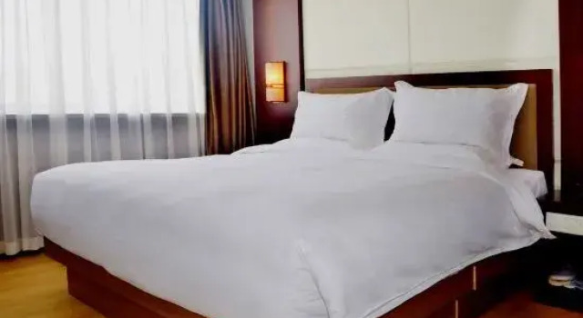 Люкс Business Lanzhou National People's Congress Training Center Hotel
