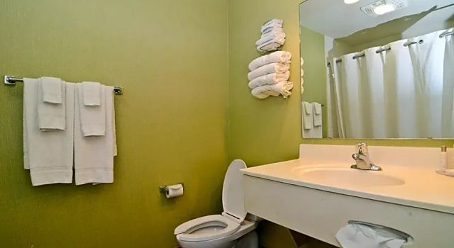 Четырёхместный номер Deluxe Atlantis Family Waterpark Hotel, an Ascend Collection Hotel