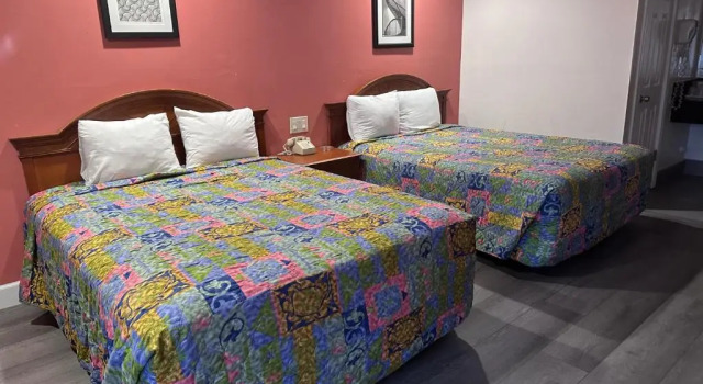 Четырёхместный номер Standard Willow Tree Lodge