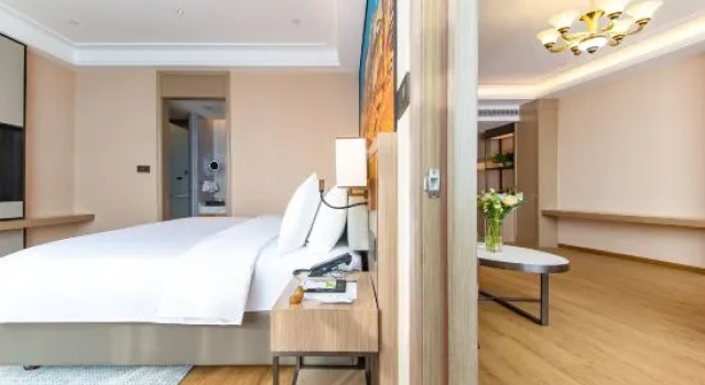 Люкс Deluxe Vienna International Hotel Qianjiang Qianyang West Road Bus Station