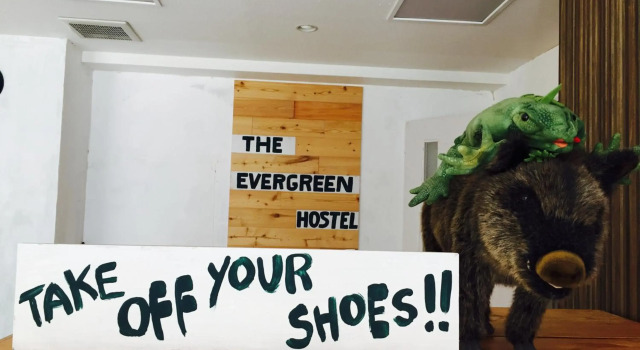 The Evergreen Hostel