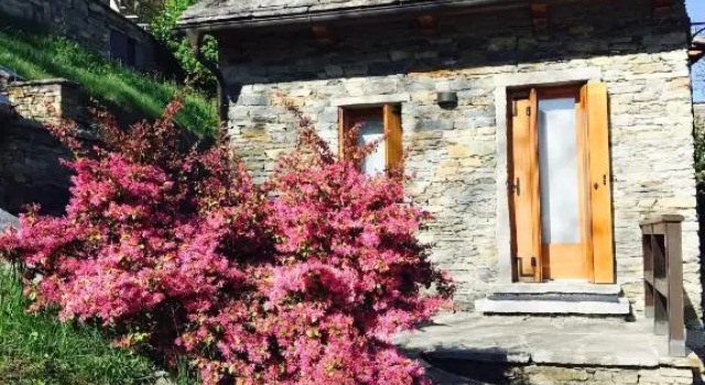 Номер Standard Agriturismo La Tensa