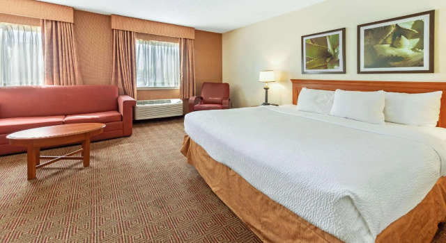 Двухместный номер Deluxe La Quinta by Wyndham Tampa Brandon West