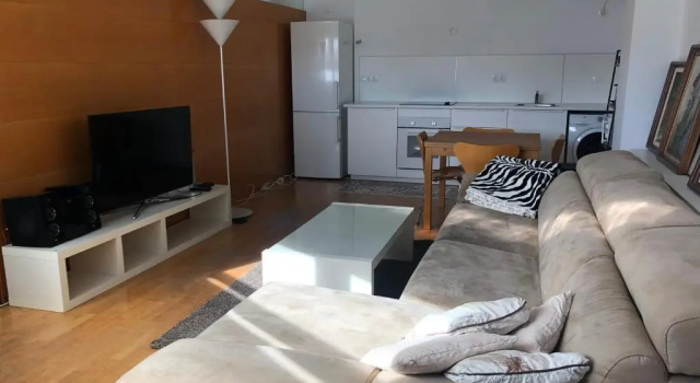Estudio acogedor renfe