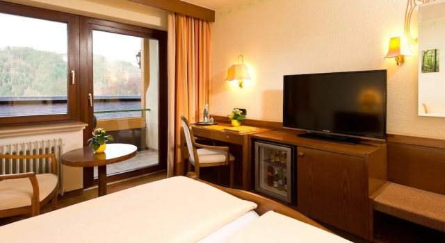 Двухместный номер Economy Silberkönig Schwarzwald Hotel Ringhotel