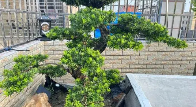 Chaozhou Niandao Accommodation, Boek Hotel Hotels in Guangdong met parkeren, Parkeren