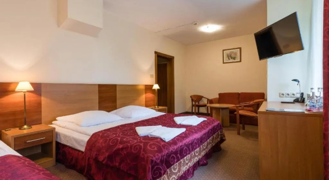 Номер Standard Hotel Boruta
