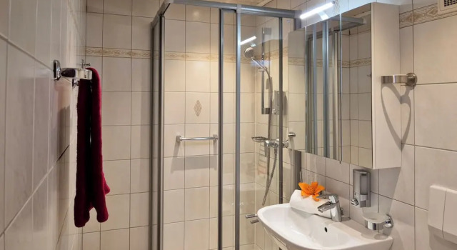 Двухместный номер Standard с балконом и с видом на горы Alpenpension Gastein