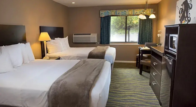 Четырёхместный номер Deluxe Atlantis Family Waterpark Hotel, an Ascend Collection Hotel