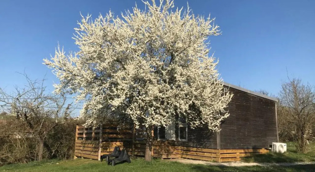 Бунгало с 2 комнатами Les Lodges