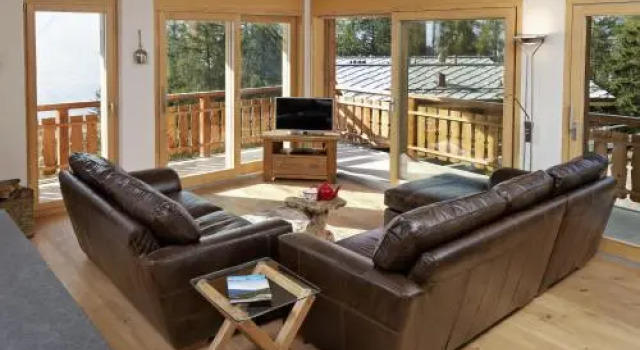 Ski in Ski out LUXURY & MOUNTAIN apartments