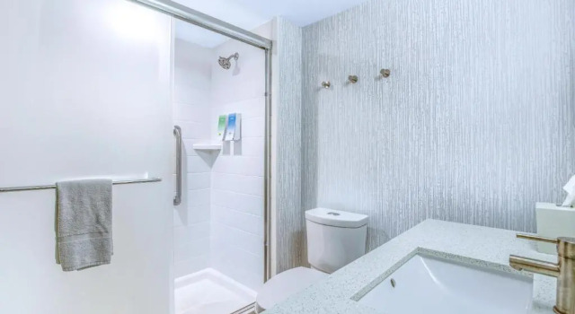 Одноместный люкс Home2 Suites by Hilton Mobile West I-10 Tillmans Corner