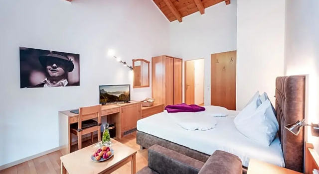 Номер Standard Hotel Stadt Wien