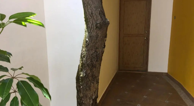 Номер Standard Casa Cielo