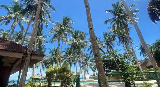 Люкс Standard Kaylaa Beach Resort And Blackeye Brewing