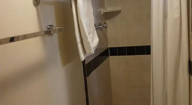 Economy Zimmer Executive Inn Pearsall