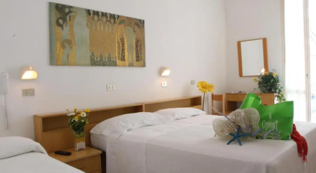Номер Standard Hotel Confort