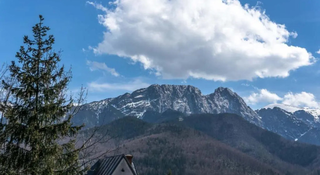 Номер Standard Aparthotel Delta Zakopane