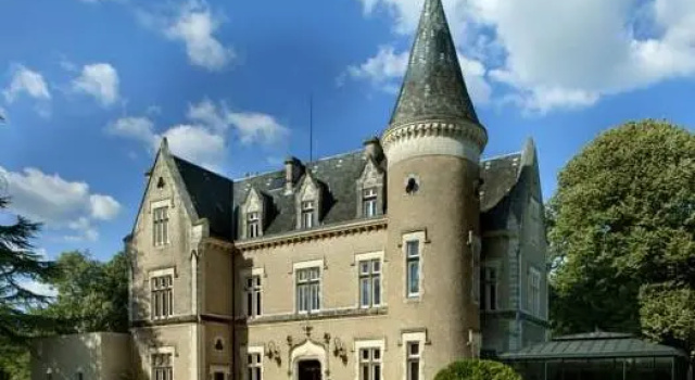 Двухместный люкс Château des Reynats