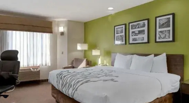Люкс Sleep Inn Ontario