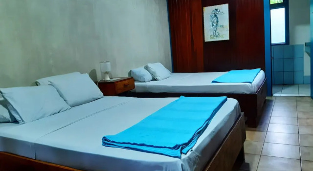 Номер Standard Lapalapa Beachfront