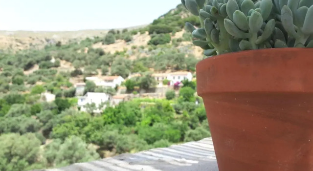 Апартаменты Panorama Apartment