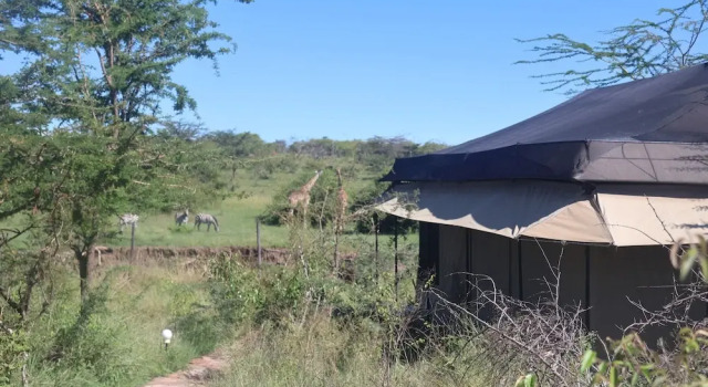 Номер Luxury Mtito Safari Camp