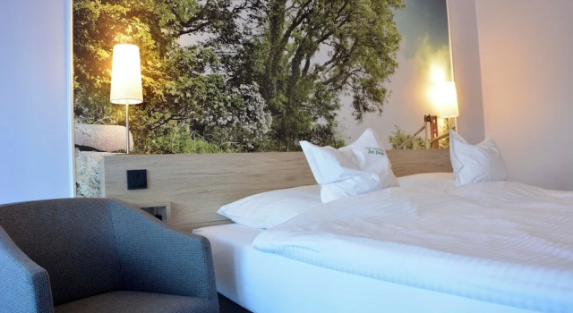 Двухместный номер Comfort Hotel Restaurant "Zur Post"