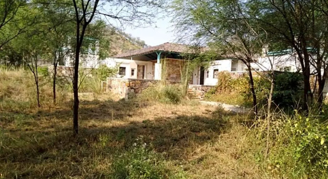 Номер Standard Trees N Tigers Luxury Wildlife Lodge
