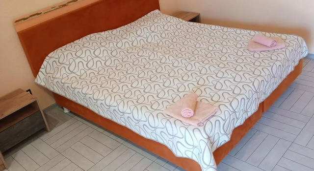 Чайка
