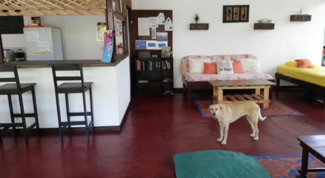 Aracari Garden Hostel, Book Hostel / Vandrerhjem Billige hoteller i Limon