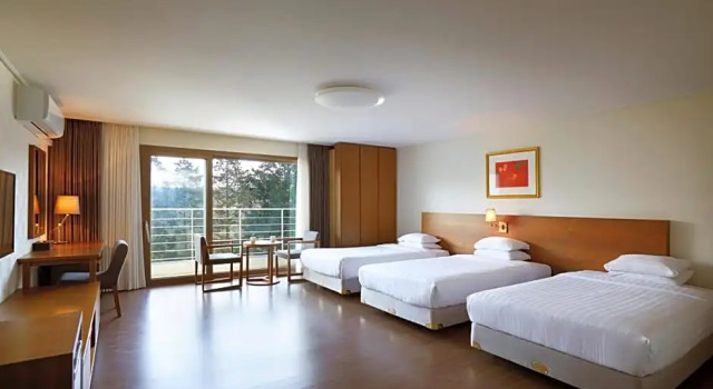 Номер Standard с балконом Jeju Aerospace Hotel