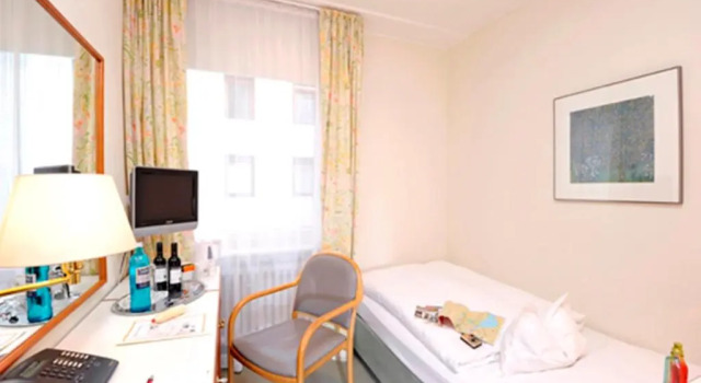 Одноместный номер Standard Hotel Baseler Hof