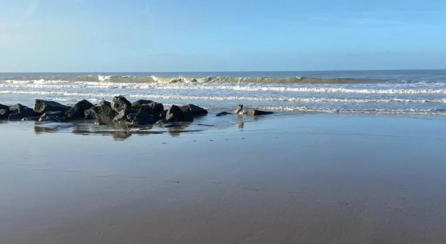 Ruim zonnig appartement op 50m van strand, Prenota Appartamento Ostenda 