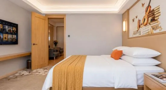Люкс Deluxe Vienna Hotel (Foshan West Railway Station Airport Branch)