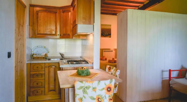 Студия с красивым видом из окна Agriturismo Il Pillone