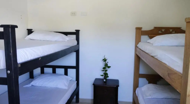 Кровать в общем номере (женский номер) La Casa de Petra Hostel