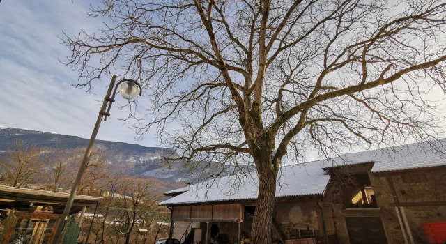 Casa in tipico Maso, tra natura e tradizione, Забронировать Дом для отпуска Коттеджи Val di Non, Коттедж