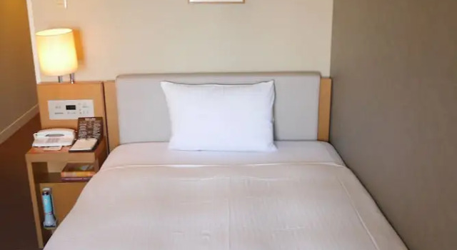 Одноместный номер Deluxe Rembrandt Hotel Atsugi