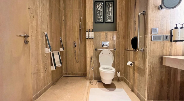 Двухместный номер Standard с видом на город Crowne Plaza Greater Noida by IHG