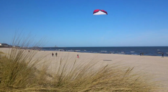 Waldhaus Gertrud - 120m zum Strand, Book Apartment Heringsdorf Usedom