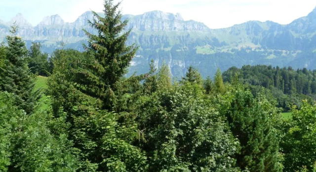 Пятиместный номер Standard Hotel Restaurant Bergheim