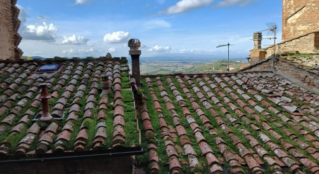 Appartamento in Palazzo Bucelli