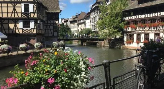 Gîte de montagne -Bellefosse Alsace, Book Apartment  