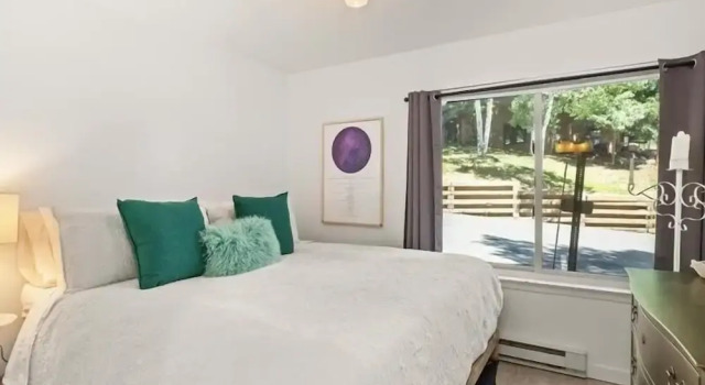Remodeled Snowmass Pet-Friendly Modern 1BR Condo - G125